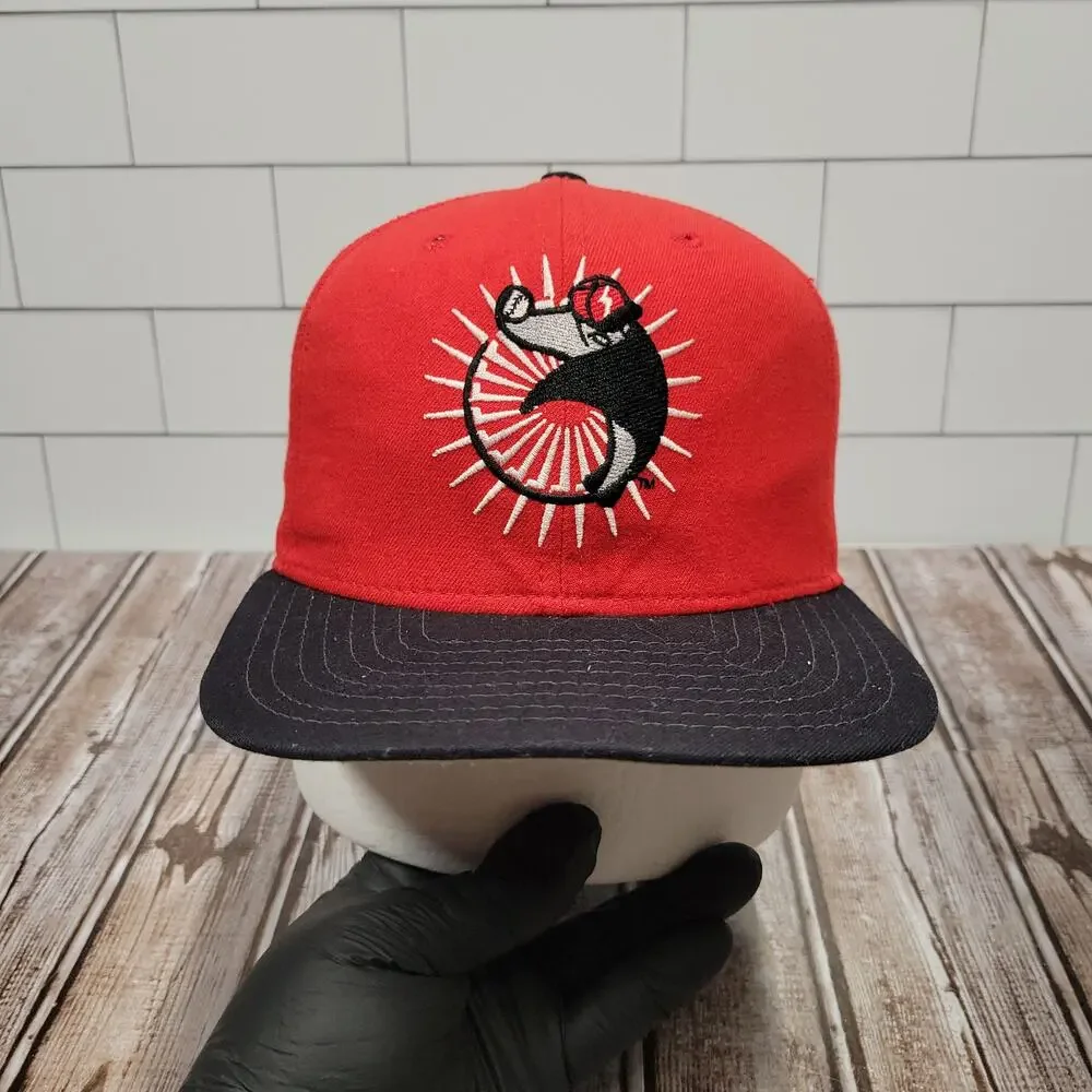 Vintage Maui Stingrays Hawaii Winter Baseball New Era Snapback Hat USA 1993